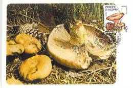 ANDORRE ESPAGNOL CARTE MAXIMUM NUM.YVERT 160 CHAMPIGNON - Sonstige & Ohne Zuordnung