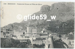 MONACO - Palais Du Prince Et Tête De Chien - N° 539 - Palazzo Dei Principi