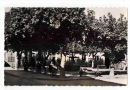 CAPENDU : " Place De L' Hôtel De Ville " - Avec Enfants - Capendu