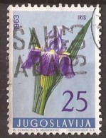 1963 X JUGOSLLAVIJA JUGOSLAWIEN FLORA FIORI USED - Gebruikt