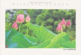 AKJP Japan Postcards Takamatsu - Ritsurin Garden  - Lotus Flowers - Cherry Blossom - Crane - Tea Ceremony House - Verzamelingen & Kavels