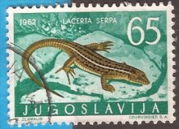 1962 X  JUGOSLAVIJA JUGOSLAWIEN  FAUNA AMPHIBIEN REPTILIEN  USED - Gebruikt