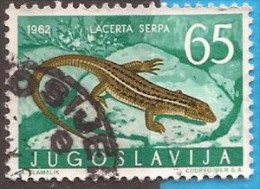 1962 X  JUGOSLAVIJA JUGOSLAWIEN  FAUNA AMPHIBIEN REPTILIEN  USED - Gebruikt