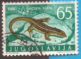 1962 X  JUGOSLAVIJA JUGOSLAWIEN  FAUNA AMPHIBIEN REPTILIEN  USED - Usados