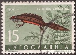 1962 X  JUGOSLAVIJA JUGOSLAWIEN  FAUNA AMPHIBIEN REPTILIEN  USED - Used Stamps