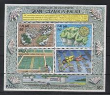 Palau - 1991 Oysters Block MNH__(TH-5990) - Palau