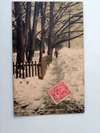 Carte Postale Ancienne : SYDNEY C. B. , Winter Scene B, Dorchester Street, Stamp 1909 - Cape Breton