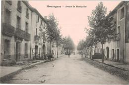 Carte Postale Ancienne De MONTAGNAC - Montagnac