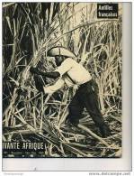 VIVANTE AFRIQUE LES ANTILLES FRANCAISES NOV DEC 1965 N°241 56 PAGES - Outre-Mer