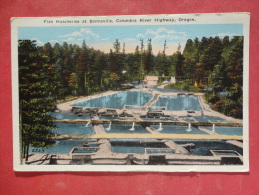 Columbia River Highway,OR--Fish Hatcheries At Bonneville--not Mailed--PJ 241 - Altri & Non Classificati
