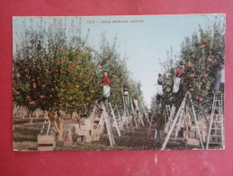 Oregon--Apple Orchard--cancel 1912--PJ 242 - Altri & Non Classificati