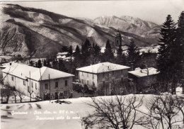 GAVINANA  /  Stazione Climatica - Panorama _ Viaggiata - Nuoro