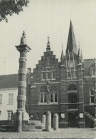 Wommelgem :  Gemeentehuis      (  Groot Formaat ) - Wommelgem