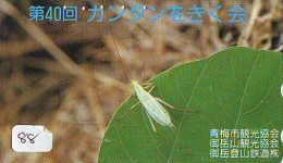 Télécarte JAPON * TELEFONKARTE JAPAN (88) INSECTE * Scarabée * BEETLE INSECT Phonecard * KEVER * - Sonstige & Ohne Zuordnung