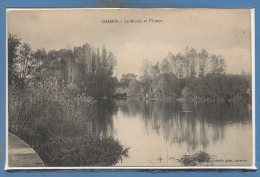 89 - CHAMPS --  Le Moulin Et L'yonne - Champs Sur Yonne