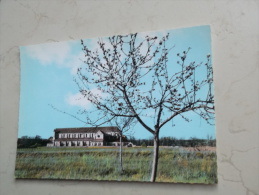 VDS CARTE POSTALE PONTIGNY L'EGLISE ABBATIALE DANS UN CADRE VERDOYANT - Pontigny