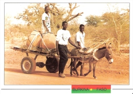 BURKINA FASO - Province De Mouhoun - Jeunes Gens Se Rendant Au Marché Avec Les Jarres - W-6 - Burkina Faso