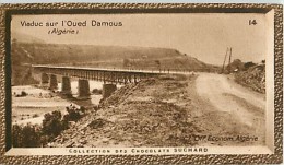 CHOCOLAT SUCHARD : IMAGE N° 14 . VIADUC SUR L'OUED DAMOUS . ALGERIE . - Suchard