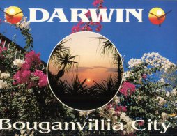 (333) Australia - NT - Darwin City Of Bougainvillia - Darwin