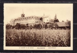 41222    Francia,    Oelenberg  -  Le   Couvent  Vu  Du  Sud-Est,  NV - Wittenheim