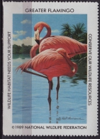 FLAMINGO / BIRD - National Wildlife Federation NWF - 1989 USA - LABEL / CINDERELLA - Fenicotteri