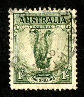 1672x)  Australia 1936 - Sc # 175a   Used  ( Catalogue $3.50) - Usados