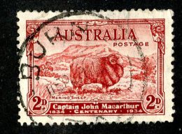 1704x)  Australia 1934 - Sc #147   Used  ( Catalogue $2.00) - Usados
