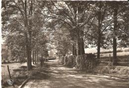 Lavacherie  S Ourthe Allee Des Ecoles - Sainte-Ode