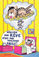 CPSM  UNE VIE DE CHAT BARBEROUSSE SOURIS REALISER SON REVE PAS FACILE HUMOUR - Barberousse