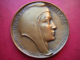 BELLE MEDAILLE  BRONZE SIGNE J COEFFIN REPUBLIQUE FRANCAISE  OFFERT PAR E THORAILLER DEPUTE - Professionali / Di Società