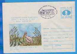 Pelicans,  Birds ROMANIA Postal Stationery Cover 1991 - Pelicans