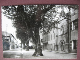 CPA CPSM PHOTO 83 SALERNES Rue J.J. ROUSSEAU Années 1959 - Salernes