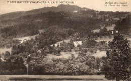 CPA - BOËGE (74) - Le Chalet Des Forêts - Boëge