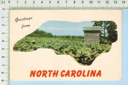 North Carolina  ( Greeting From North CarolinaTobacco Farm Ferme De Tabac ) Post Card Carte Postale  2 Scans - Tobacco