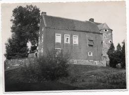 25605  -  Ferme Du Chateau De Haneffe   Photo  17  X  12,5 - Remicourt