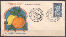 FDC  Sur  LETTRE  Cachet   ALGER   Le 8 Mai 1954      3eme CONGRES D AGRUMICULTURE - Lettres & Documents