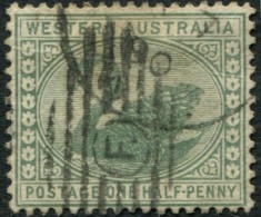 Pays :  47 (Australie Occidentale  : Colonie Britannique)      Yvert Et Tellier N° :  42 (o) - Gebruikt