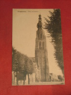 HOOGSTRATEN - HOOGSTRAETEN  - Kerk En Stadhuis - Hoogstraten