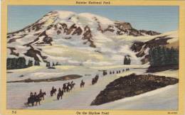 013C/ Ca 1935 Washington Rainier National Park  Horse Trips Chevaux Paarden - Tacoma