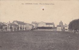 Cp , 86 , LUSIGNAN , Place Du Champ De Foire - Lusignan