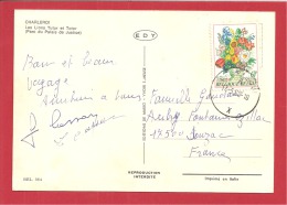 N°Y&T 1966 CHARLEROI  Vers   FRANCE  Le   17 MAI 1980(2 SCANS) - Cartas & Documentos
