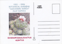 CACTUSSES, SPECIAL POSTCARD, 2006, ROMANIA - Cactusses