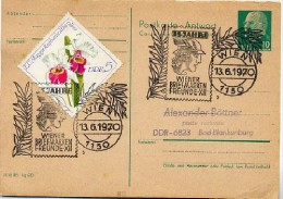 MERKUR BRIEFMARKENFREUNDE WIEN 1970 Auf DDR-Antwort-Postkarte P77 A - Mitologia