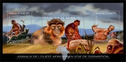 Guinea. 2012 Animals. (223a) - Affen