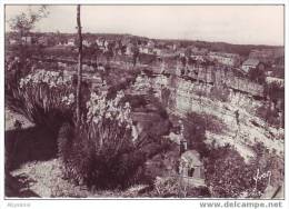 D22 5 - 12 BOZOULS - Les Bords Du Gourp D´enfer - Bozouls