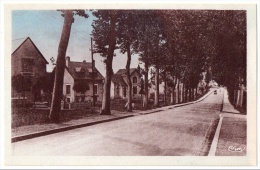 Selles-sur-Cher, Avenue De La Gare, C.I.M., Bon état, Scan Recto-verso - Selles Sur Cher