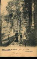 AMOUGIES « Orroir - Mont De L’Enclus - Route Sous Bois » - Ed. L. Ovaert (1905) - Kluisbergen