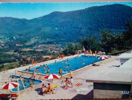 83 - BARGEMON - La Piscine. (CPSM) - Bargemon