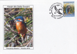 BIRDS, COMMOM KINGFISHER, BIRDS FROM DANUBE DELTA, SPECIAL COVER, 2009, ROMANIA - Moineaux