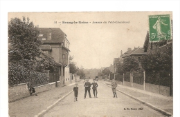 92 BOURG LA REINE AVENUE DU PETIT CHAMBORD ANIMEE BON ETAT 2 SCANS - Bourg La Reine